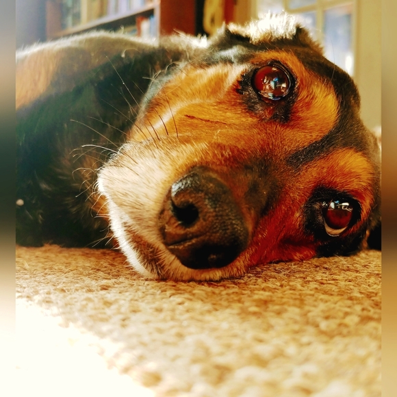 About me ❤😊 - Picture 2 of 4